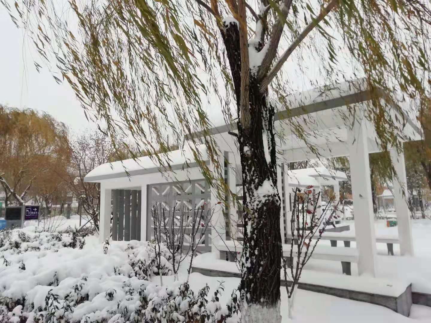 微信图片_20221215213203