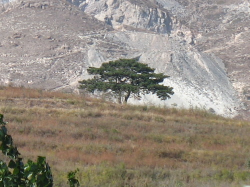 父亲 石场 山路