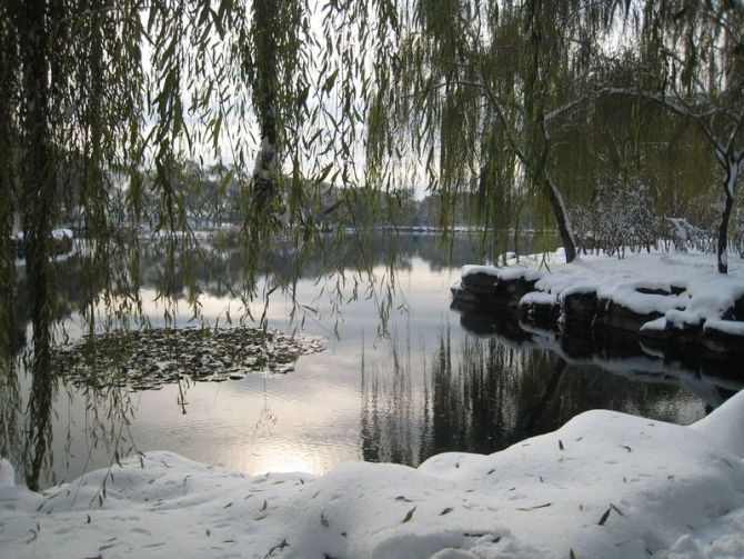 落雪