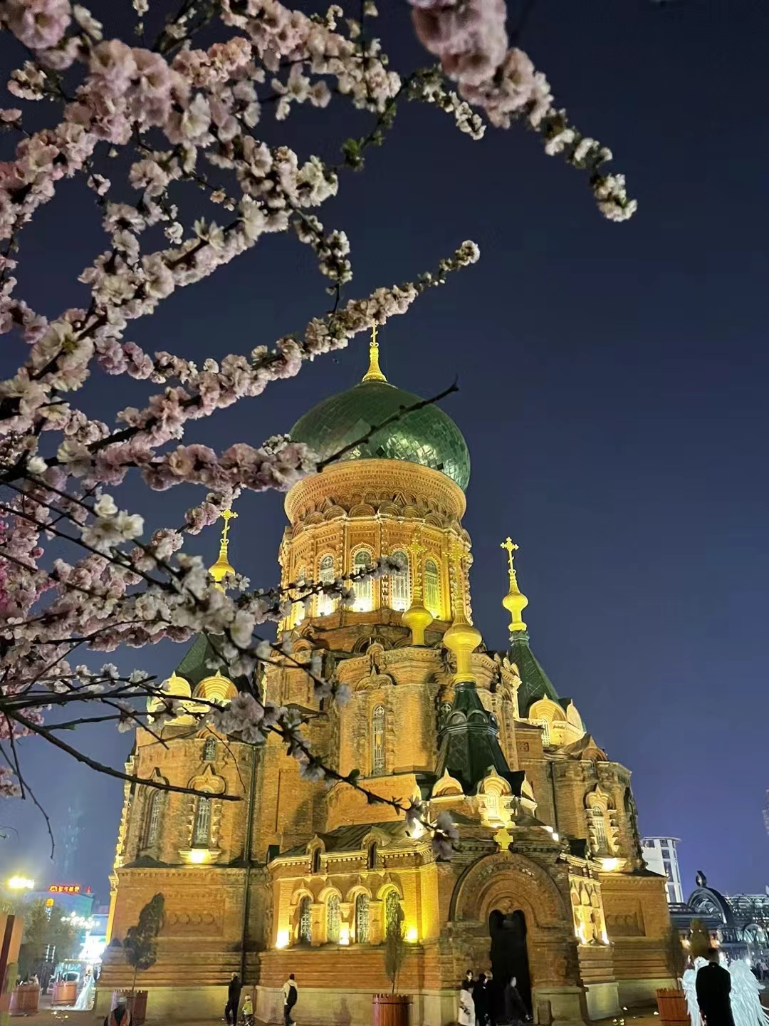 全国通报表扬!国务院办公厅发布优化营商环境专项督查发现的典型经验做法