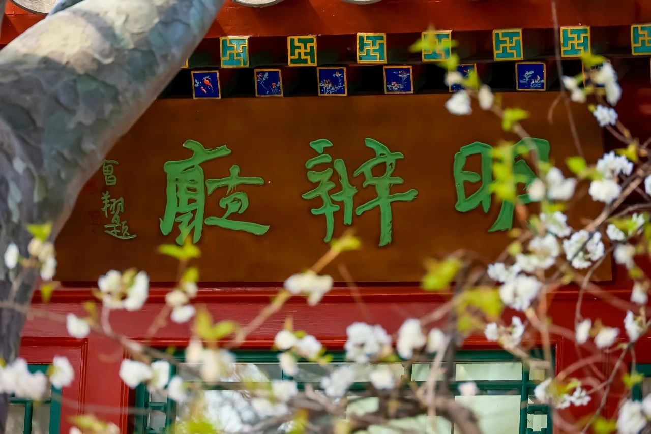 决定孩子一生的“黄金九年”，很多父母后悔太晚看到
