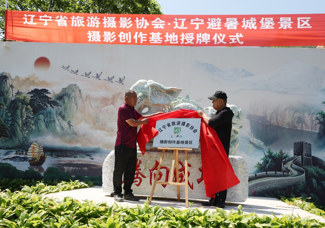 图片3