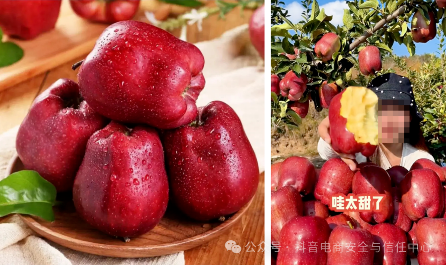 微信图片_2025-09-12_123230_736_副本
