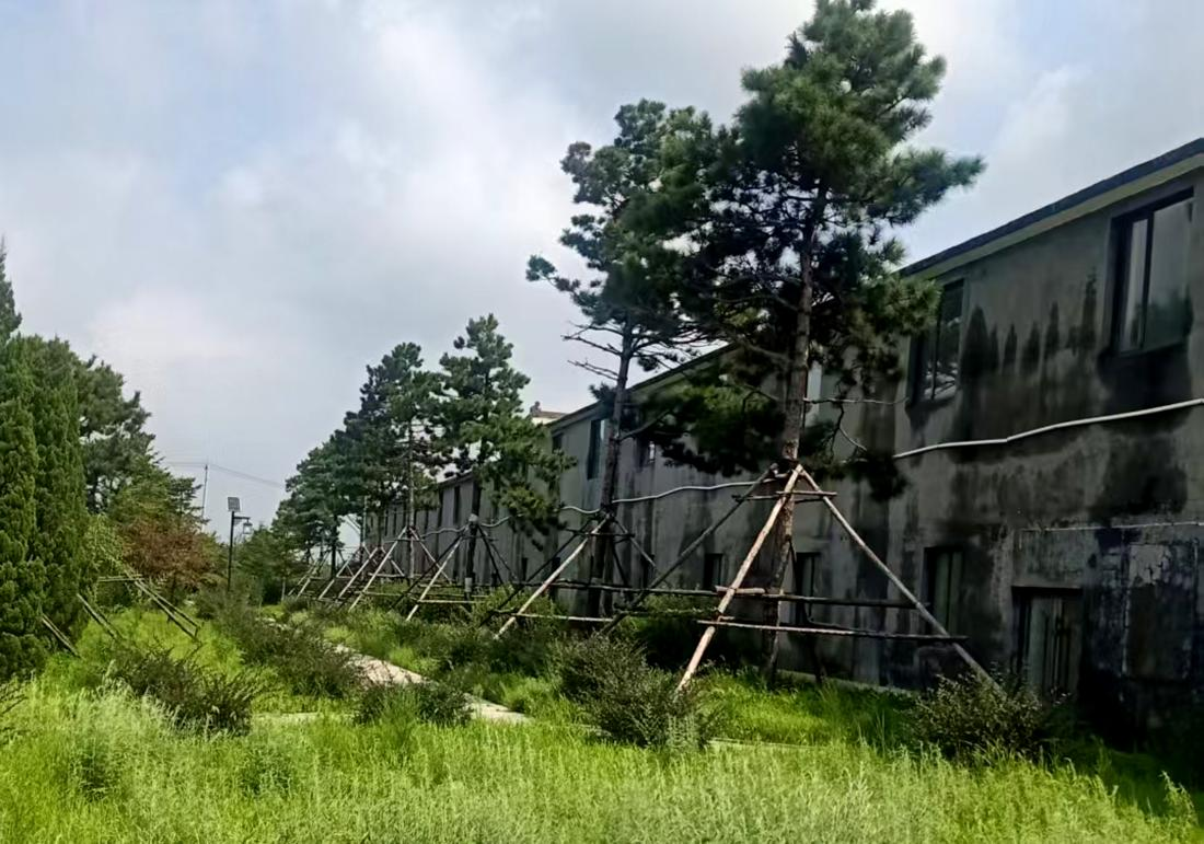 图片4