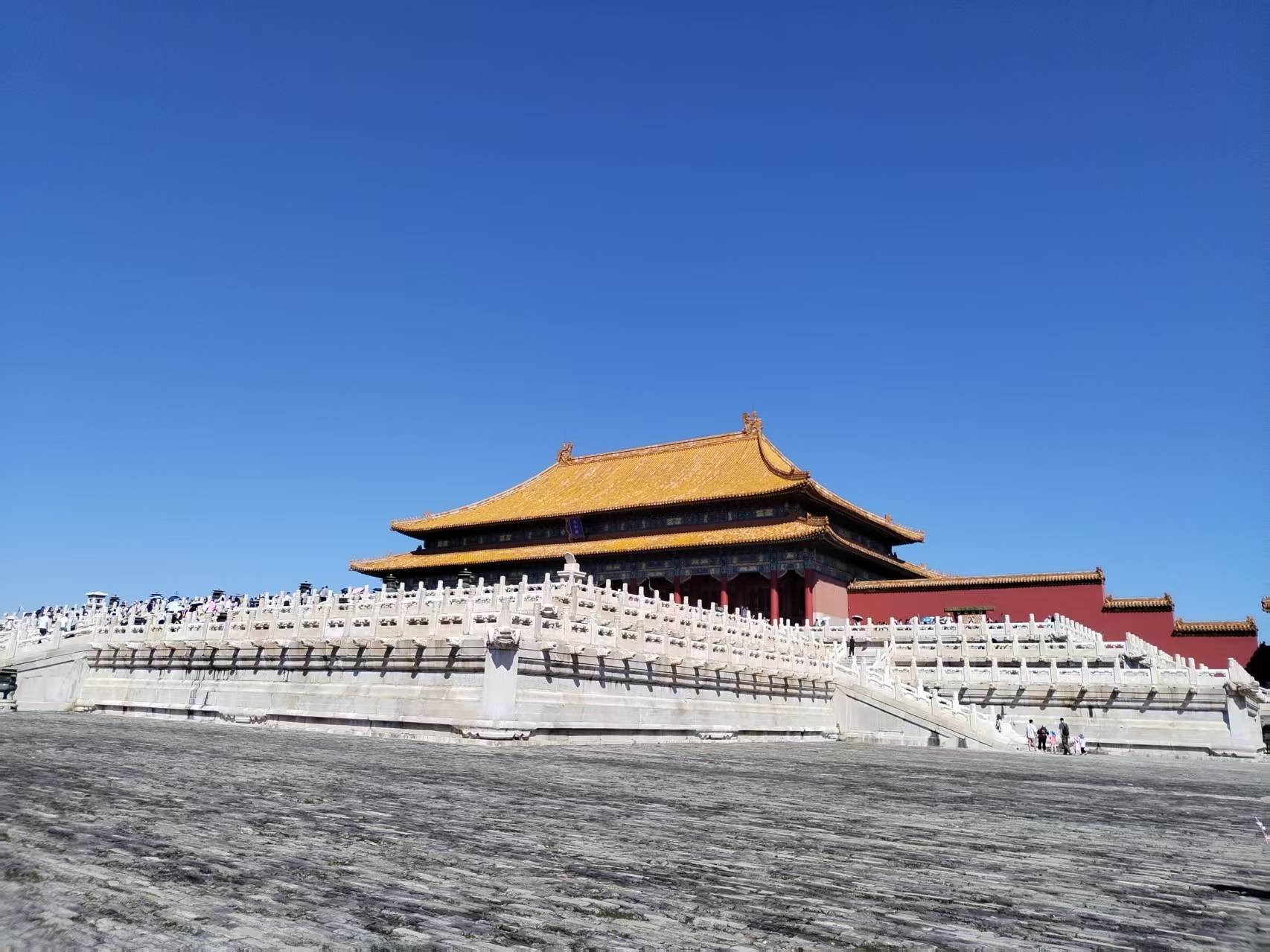 关于常态化受理志愿服务领域突出问题投诉举报线索的公告