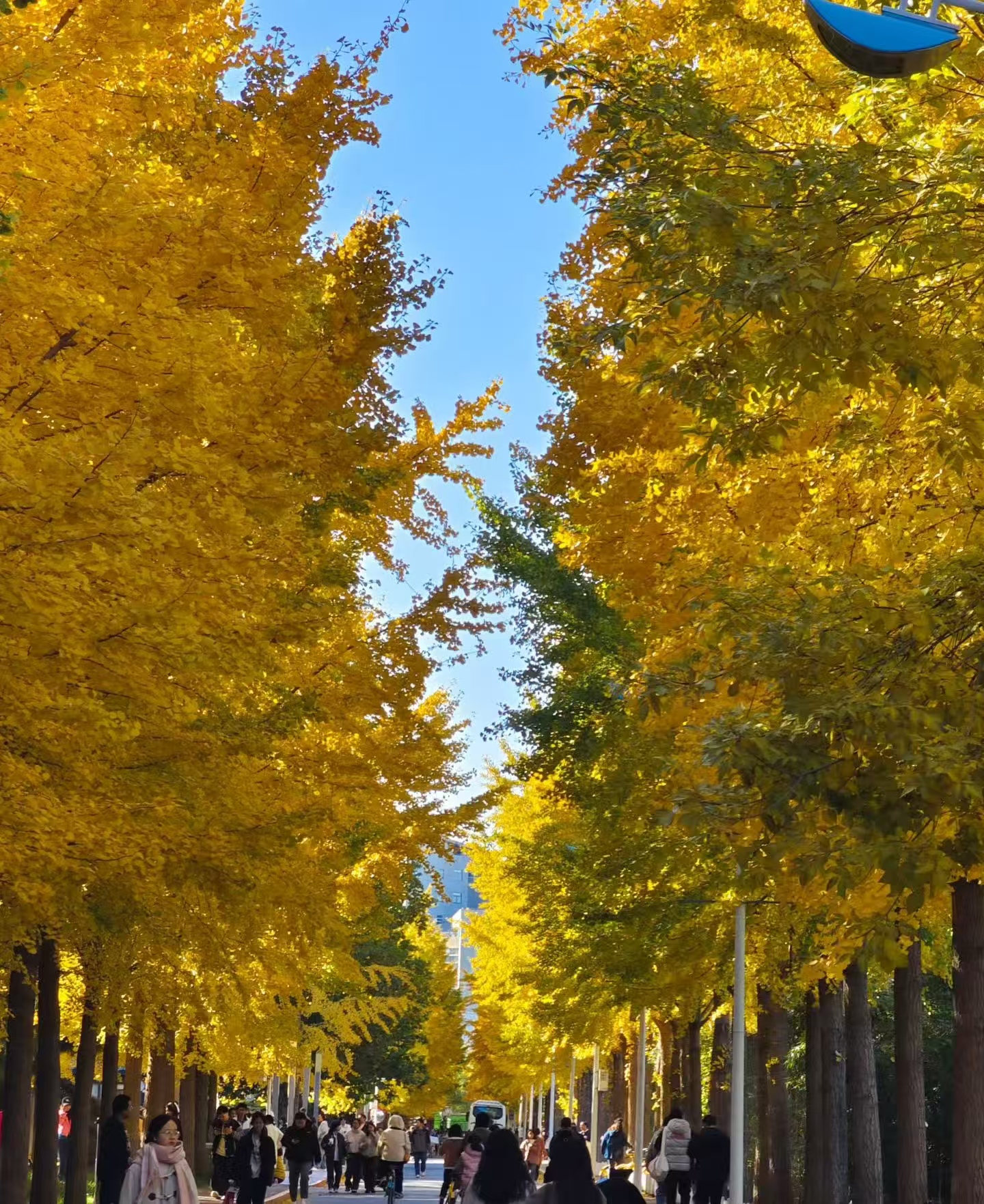 云蒙山诗联书画院第二届理事会成员名单（35人）