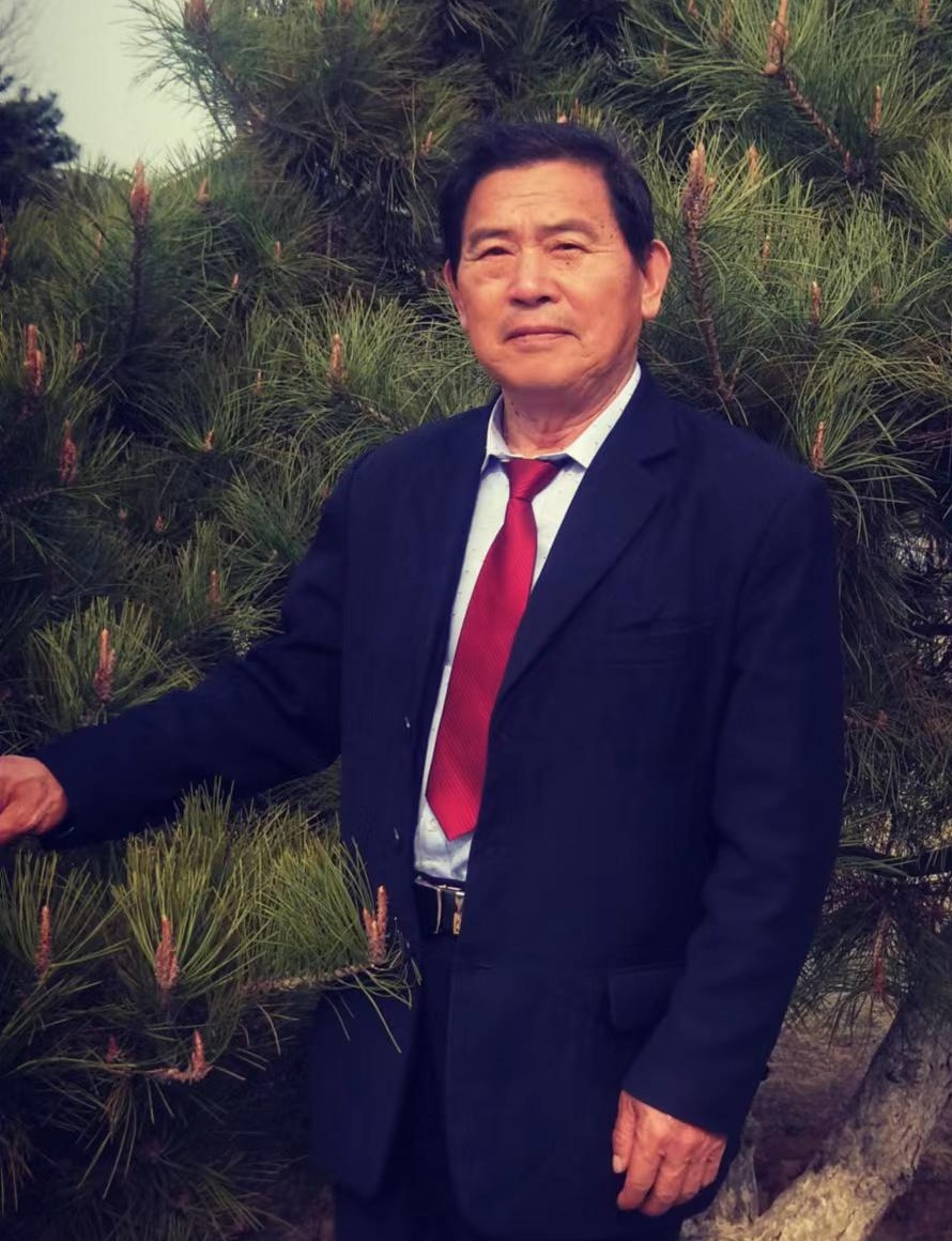 书画艺术顾问 樊文武 艺术简介