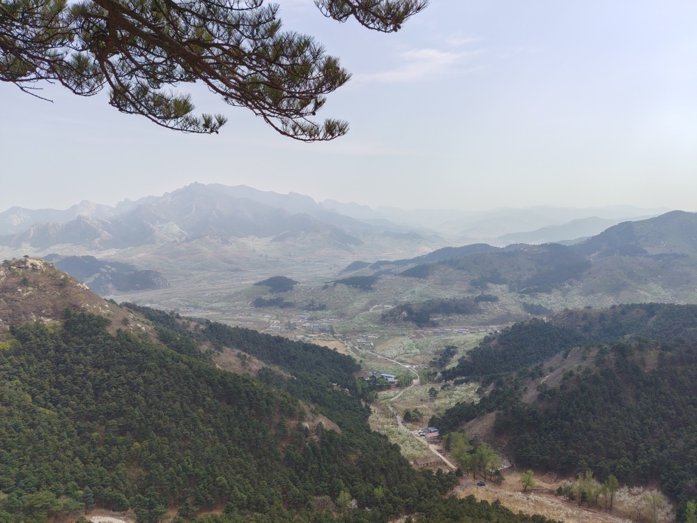 关于舆情处置的五大基础工作能力